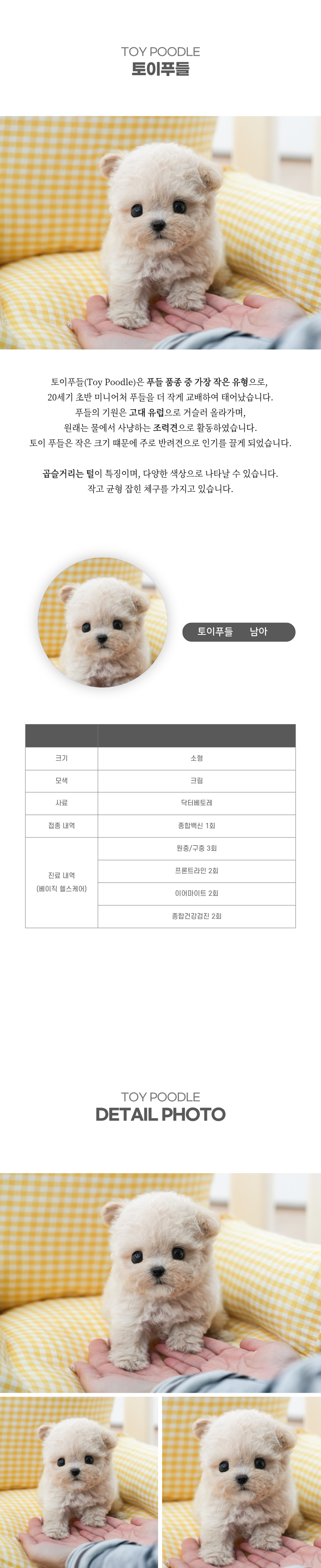 토이푸들_상세이미지_2